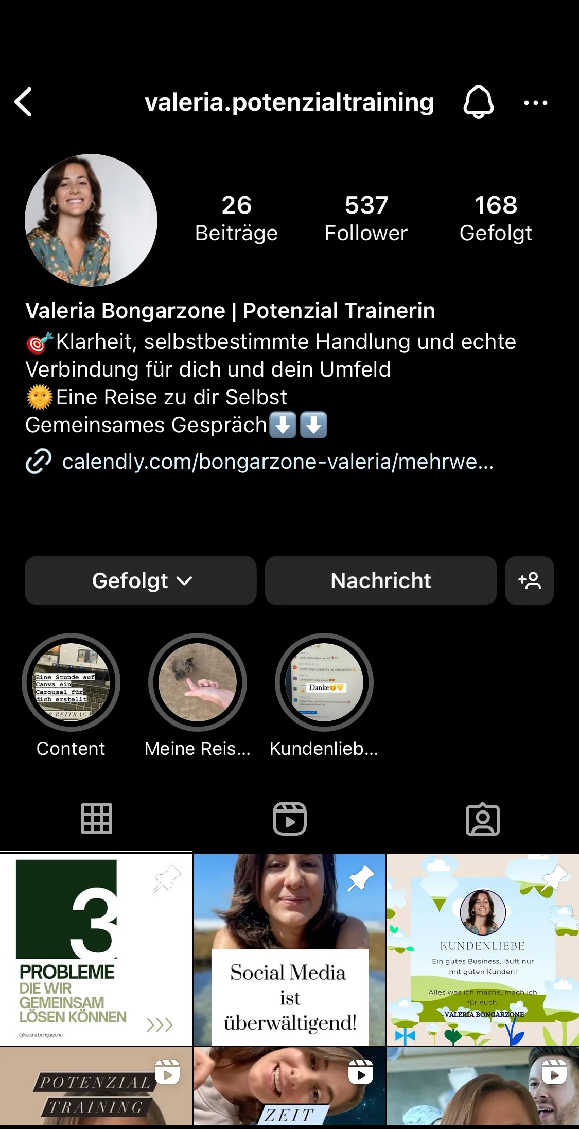 Instagram-Profil von Valeria Bongarzone vor der Überarbeitung